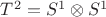 $T^2=S^1\otimes S^1$