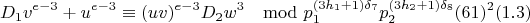 $$D_1v^{e-3}+u^{e-3}\equiv(uv)^{e-3}D_2w^3\mod p_1^{(3h_1+1)\delta_7}p_2^{(3h_2+1)\delta_8}(61)^2 (1.3)$$