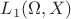 $L_1(\Omega,X)$