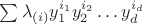$\sum\lambda_{(i)}y_1^{i_1}y_2^{i_2}\dots y_d^{i_d}$