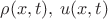 $\rho(x,t),\,u(x,t)$