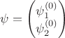 $\psi=\begin{pmatrix}\psi_1^{(0)}\\\psi_2^{(0)}\end{pmatrix}$