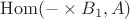 $\mathrm{Hom}(-\times B_1, A)$