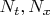 $N_{t}, N_{x}$