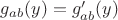 $g_{ab}(y)=g'_{ab}(y)$
