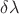 $\delta \lambda$