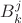 $B_k^j$