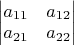 $\begin{vmatrix}a_{11} & a_{12}\\
a_{21} & a_{22}
\end{vmatrix}$