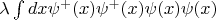 $\lambda\int dx \psi^+(x)\psi^+(x)\psi(x)\psi(x)$