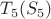 $T_{5} (S_{5})$