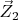 $\vec Z_2$