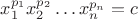 $x_1^{p_1}x_2^{p_2}\dots x_n^{p_n} = c$