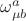 $\omega^{a}_{\mu b}$