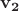 ${\bf v_2}$