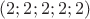 $(2;2;2;2;2)$