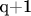 q+1