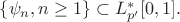 $\{ \psi_n, n \ge 1 \} \subset L_{p'}^{*} [0,1].$