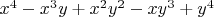 $x^4-x^3y+x^2y^2-xy^3+y^4$