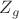 $Z_g$