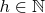 $h\in\mathbb{N}$