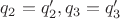 $q_2 = q_2', q_3 = q_3'$