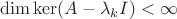 $\dim \ker(A - \lambda_k I) < \infty$