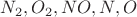 $N_2, O_2, NO, N, O$