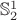 $\mathbb{S}^1_2$