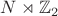 $N \rtimes \mathbb Z_2$