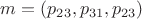 $m=(p_{23},p_{31},p_{23})$