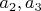 $a_{2},a_{3}$
