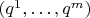 $(q^1,\ldots, q^m)$