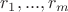 $r_1,...,r_m$