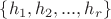 $\{h_1,h_2,...,h_r\}$