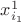 $x^{1}_{i_1}$