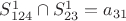 $S^1_{124} \cap S^1_{23} = a_{31}$