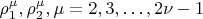 $ \rho^\mu_1, \rho^\mu_2, \mu =  2, 3, &hellip;,2\nu - 1 $