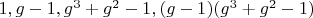 $1, g-1, g^3+g^2-1, (g-1) (g^3+g^2-1)$