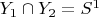 $Y_1 \cap Y_2 = S^1$