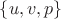 $\{u,v,p\}$