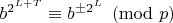 $b^{2^{L+T}}\equiv b^{\pm 2^L} \pmod p$