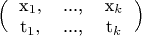 $\Bigl(\begin{tabular}{ c c c }  x_1, & ..., & x_k \\ t_1, & ..., & t_k \\ \end{tabular}\Bigr)$