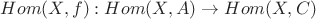 $Hom(X,f):Hom(X,A) \rightarrow Hom(X,C)$