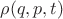 $\rho(q, p, t)$