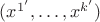 $(x^{1'},\ldots,x^{k'}) $
