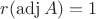 $r(\operatorname{adj}A)=1$