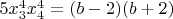 $5x_3^4x_4^4=(b-2)(b+2)$