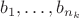 $b_1,\dots,b_{n_k}$