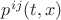 $p^{ij}(t,x)$