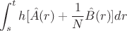 $$\int _s^th[\hat A(r)+\frac 1N \hat B(r)]dr$$